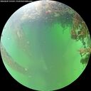 ./images/calvert/underwater/20260609/underwater20260609_155501M.jpg