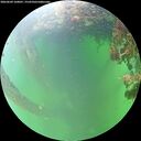./images/calvert/underwater/20260609/underwater20260609_160001M.jpg