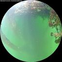 ./images/calvert/underwater/20260609/underwater20260609_161501M.jpg