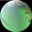 ./images/calvert/underwater/20260609/underwater20260609_162001M.jpg
