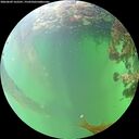 ./images/calvert/underwater/20260609/underwater20260609_162501M.jpg