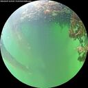 ./images/calvert/underwater/20260609/underwater20260609_163501M.jpg
