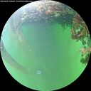 ./images/calvert/underwater/20260609/underwater20260609_164002M.jpg