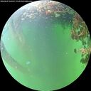 ./images/calvert/underwater/20260609/underwater20260609_164501M.jpg