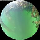 ./images/calvert/underwater/20260609/underwater20260609_170001M.jpg