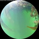 ./images/calvert/underwater/20260609/underwater20260609_170501M.jpg