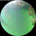 ./images/calvert/underwater/20260609/underwater20260609_171501M.jpg