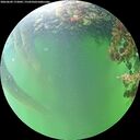 ./images/calvert/underwater/20260609/underwater20260609_172002M.jpg