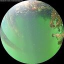 ./images/calvert/underwater/20260609/underwater20260609_172501M.jpg
