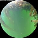 ./images/calvert/underwater/20260609/underwater20260609_173001M.jpg