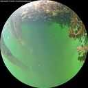 ./images/calvert/underwater/20260609/underwater20260609_173502M.jpg