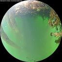 ./images/calvert/underwater/20260609/underwater20260609_174002M.jpg