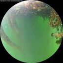 ./images/calvert/underwater/20260609/underwater20260609_174501M.jpg