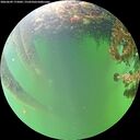 ./images/calvert/underwater/20260609/underwater20260609_175002M.jpg