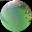 ./images/calvert/underwater/20260609/underwater20260609_175501M.jpg