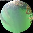 ./images/calvert/underwater/20260609/underwater20260609_180501M.jpg