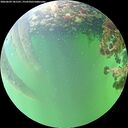 ./images/calvert/underwater/20260609/underwater20260609_181501M.jpg