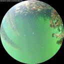 ./images/calvert/underwater/20260609/underwater20260609_182001M.jpg