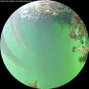 ./images/calvert/underwater/20260609/underwater20260609_182501M.jpg