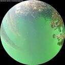 ./images/calvert/underwater/20260609/underwater20260609_183501M.jpg