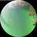 ./images/calvert/underwater/20260609/underwater20260609_184001M.jpg