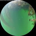 ./images/calvert/underwater/20260609/underwater20260609_191501M.jpg