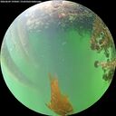 ./images/calvert/underwater/20260609/underwater20260609_193002M.jpg