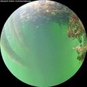 ./images/calvert/underwater/20260609/underwater20260609_194001M.jpg