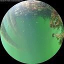 ./images/calvert/underwater/20260609/underwater20260609_195001M.jpg