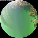 ./images/calvert/underwater/20260609/underwater20260609_201001M.jpg