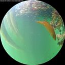 ./images/calvert/underwater/20260609/underwater20260609_204501M.jpg