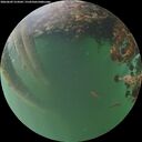 ./images/calvert/underwater/20260609/underwater20260609_214501M.jpg