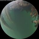 ./images/calvert/underwater/20260609/underwater20260609_215501M.jpg