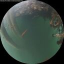 ./images/calvert/underwater/20260609/underwater20260609_220001M.jpg