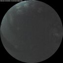 ./images/calvert/underwater/20260610/underwater20260610_043001M.jpg