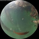 ./images/calvert/underwater/20260610/underwater20260610_051502M.jpg