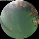 ./images/calvert/underwater/20260610/underwater20260610_052001M.jpg