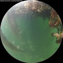 ./images/calvert/underwater/20260610/underwater20260610_052501M.jpg