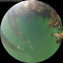 ./images/calvert/underwater/20260610/underwater20260610_053501M.jpg