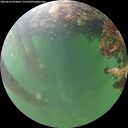 ./images/calvert/underwater/20260610/underwater20260610_054001M.jpg