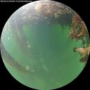 ./images/calvert/underwater/20260610/underwater20260610_054501M.jpg