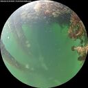 ./images/calvert/underwater/20260610/underwater20260610_055001M.jpg