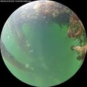 ./images/calvert/underwater/20260610/underwater20260610_055501M.jpg