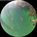 ./images/calvert/underwater/20260610/underwater20260610_060501M.jpg
