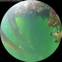 ./images/calvert/underwater/20260610/underwater20260610_061501M.jpg
