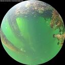 ./images/calvert/underwater/20260610/underwater20260610_062501M.jpg