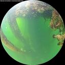 ./images/calvert/underwater/20260610/underwater20260610_063001M.jpg