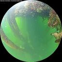./images/calvert/underwater/20260610/underwater20260610_064001M.jpg