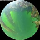 ./images/calvert/underwater/20260610/underwater20260610_065501M.jpg