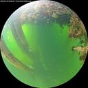 ./images/calvert/underwater/20260610/underwater20260610_070501M.jpg